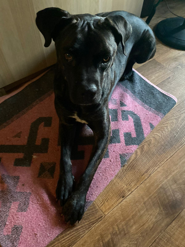 9AFFD226-6144-4F10-81E7-0A2CEB2C5AAD