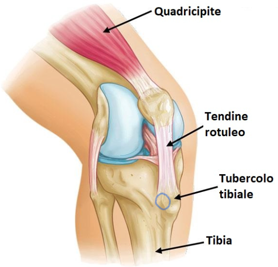 immagine_2023-01-09_150920680