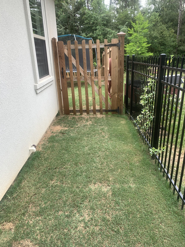 36C243BD-69D2-45A9-AC12-58496BB12B75