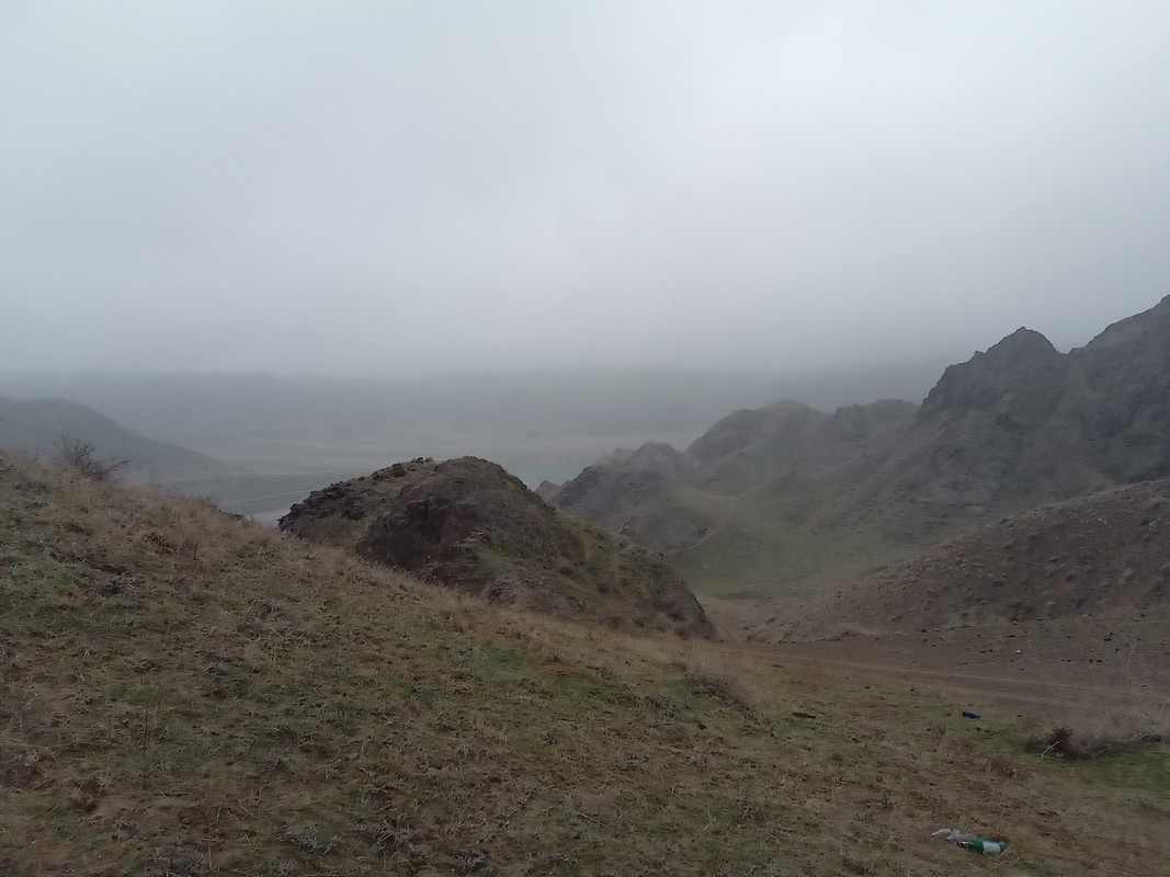 IMG-20221106-112747.jpg
