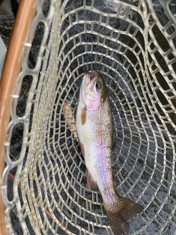 AB196BBC-2BC6-4157-913B-3B0BCF08A602