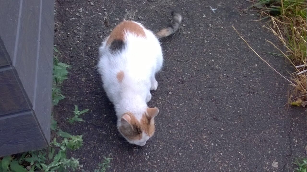 B7552819-D070-463E-A32D-72473BD1E013