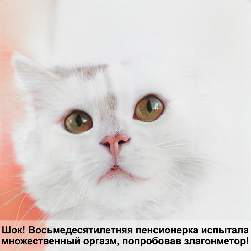 самые необычные породы кошек