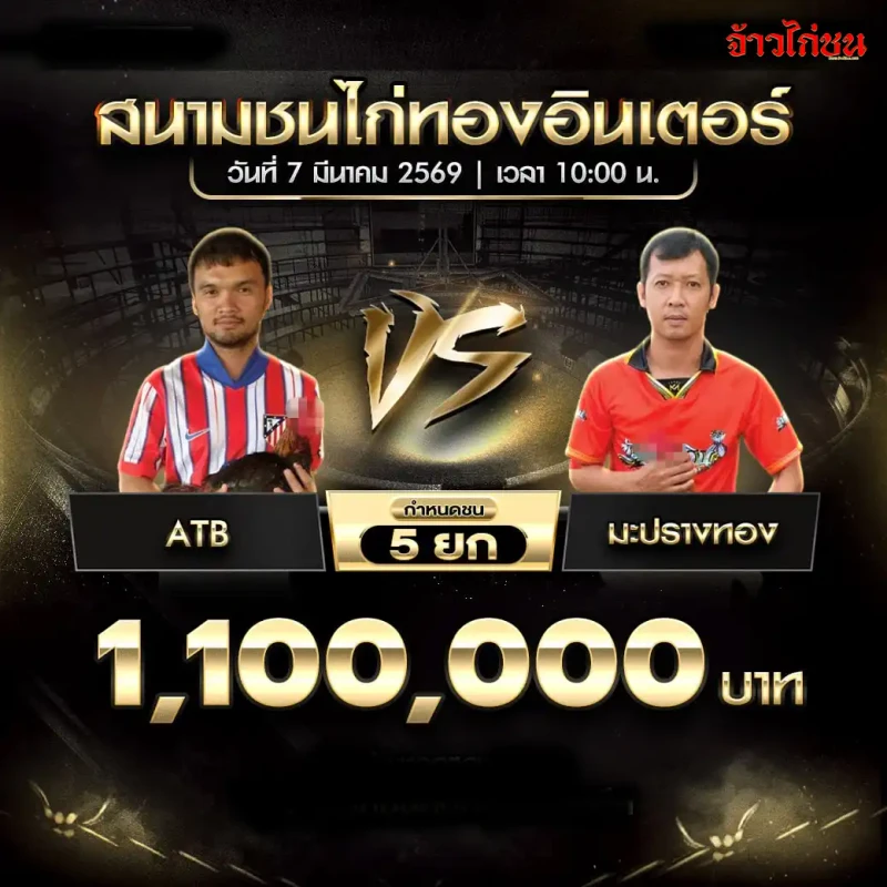 โปรแกรมไก่ชน ATB พบ มะปรางทอง สนามชนไก่ทองอินเตอร์ วันที่ 7 มีนาคม 2569