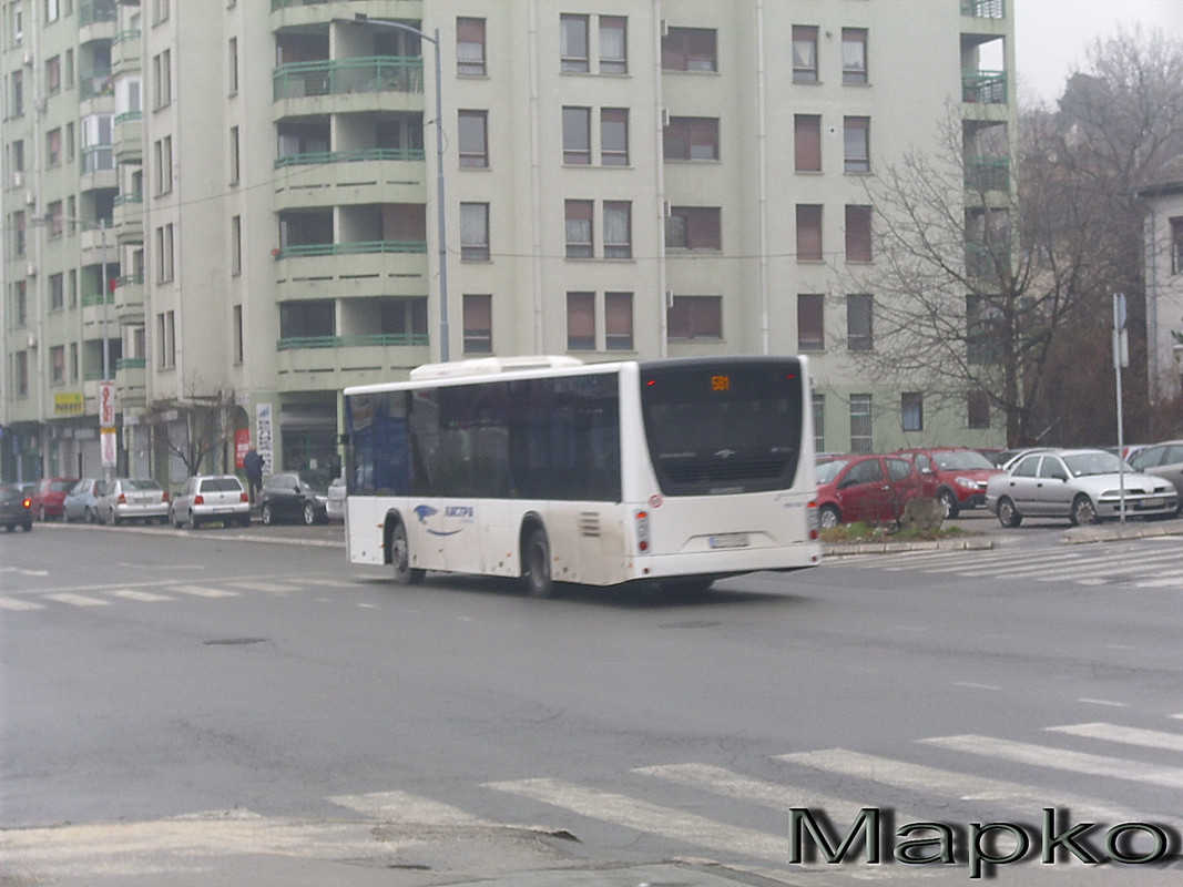 DSCI5800