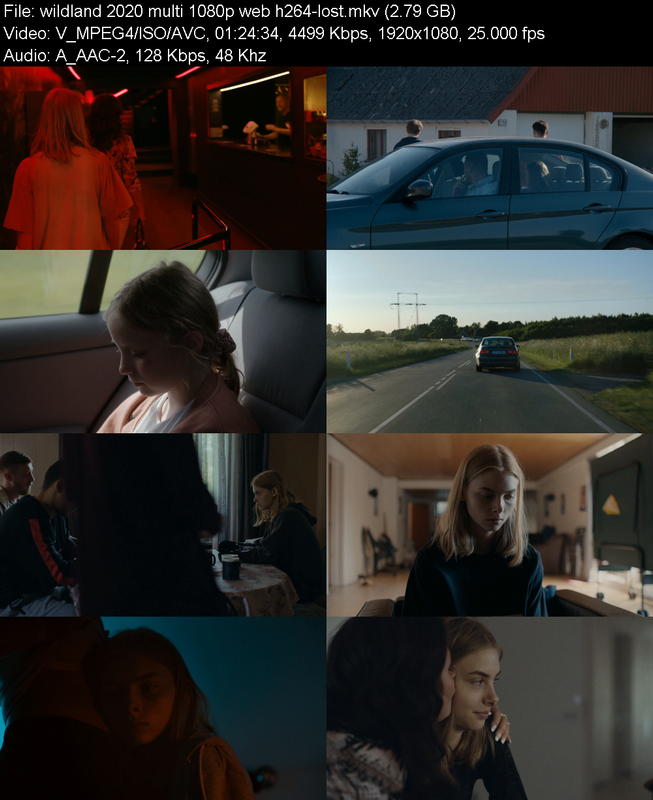 wildland-2020-multi-1080p-web-h264-lost.