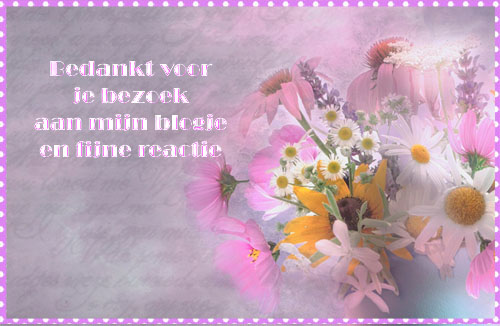 reactie.jpg