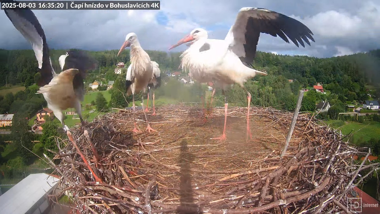 Tiešraide no KARA uzņēmuma stārķu skursteņa Bohuslavicē netālu no Trutnovas 15-24-28 screenshot
