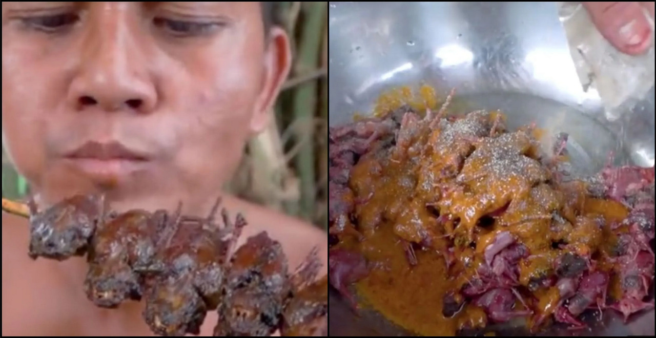 Comen murciélagos y así los cocinaron: video causa indiganción