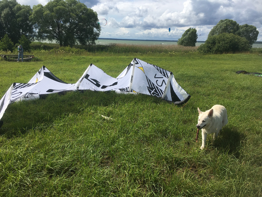 33D1B05E-C9C6-42B4-B6B2-D5574A1FAC07