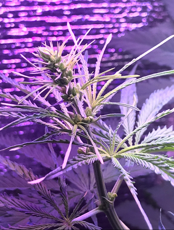 A6F0CDDA-DE5B-4B9E-90B8-0FF0067A4074