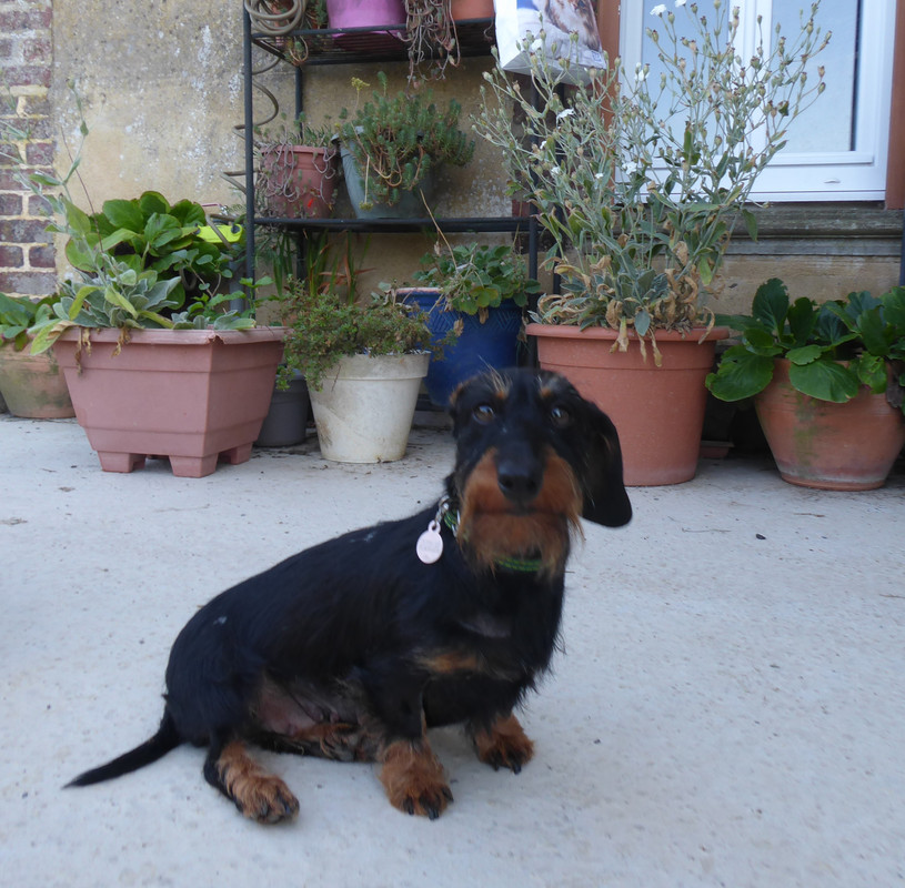 [Image: P1030551.jpg]