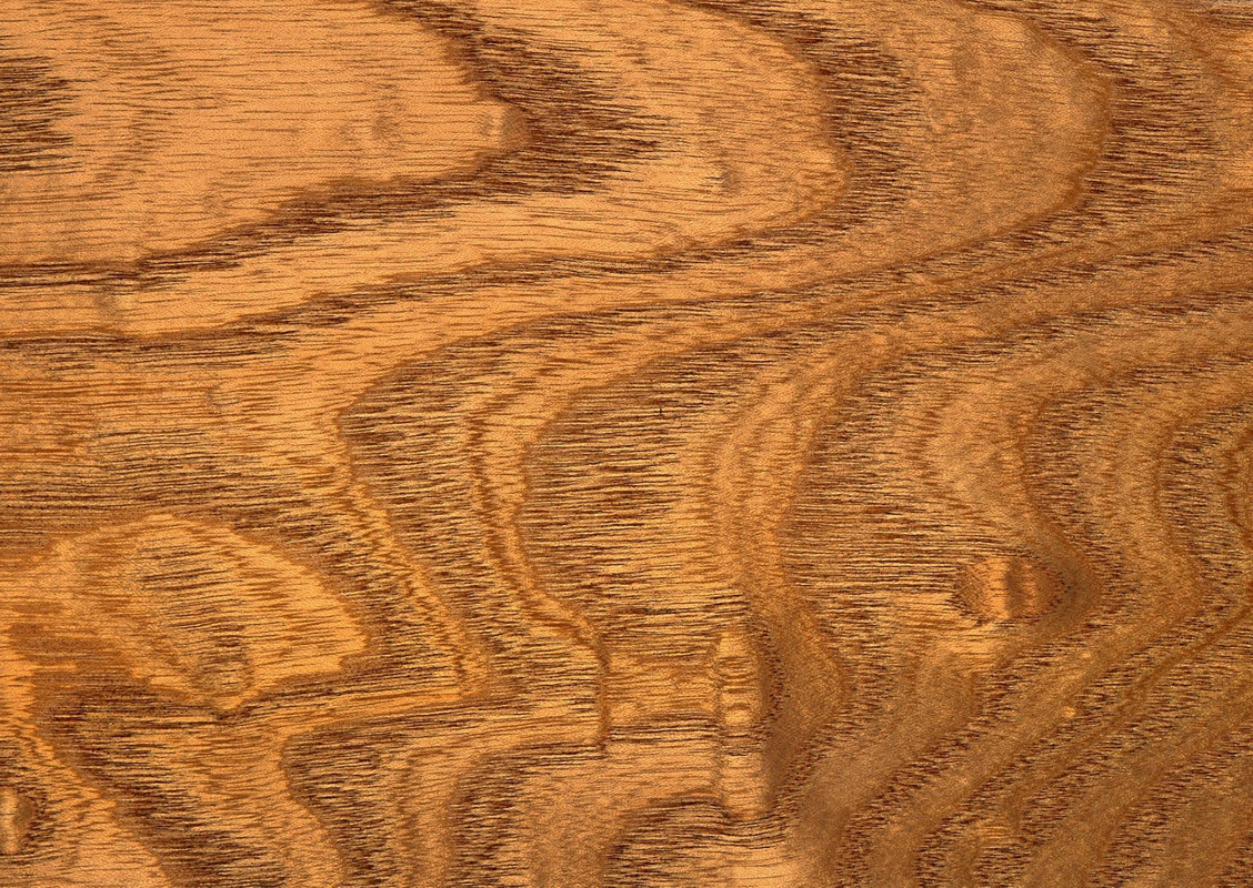 wood-texture-3dsmax (637)