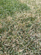 204BF4D7-1513-4413-BD55-EF1DE3150673