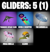 gliders-comp