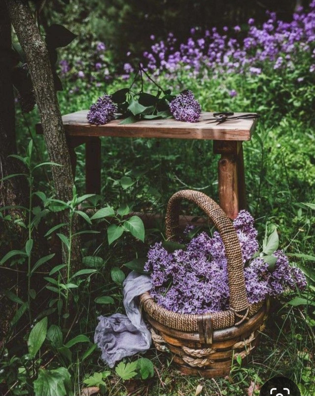 Screenshot_20230913_204325_Pinterest