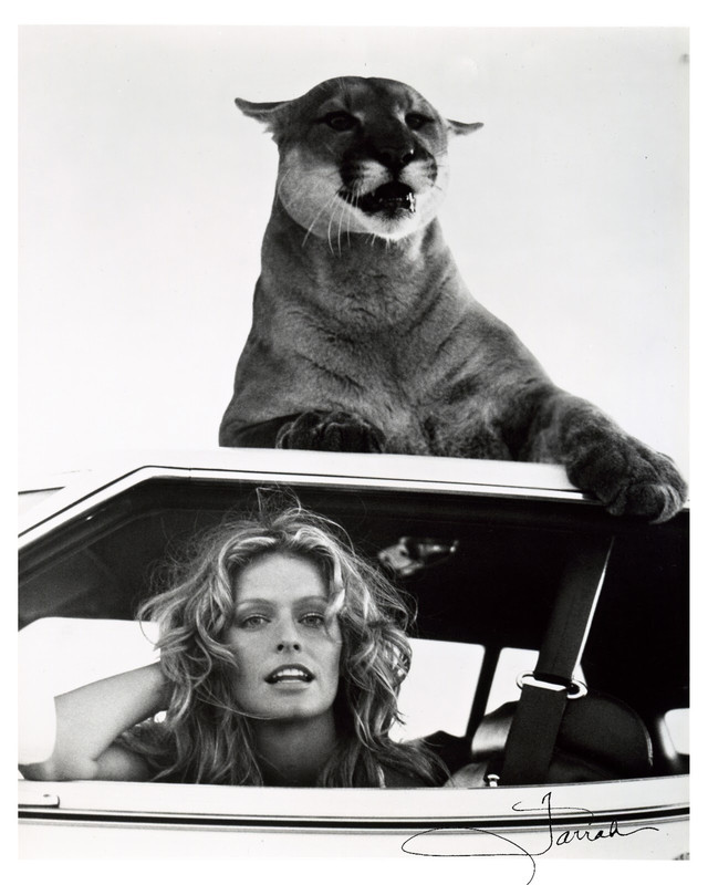 FarrahFawcett_ma67