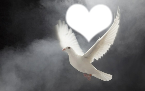 [Image: 1012660-43047.jpg]