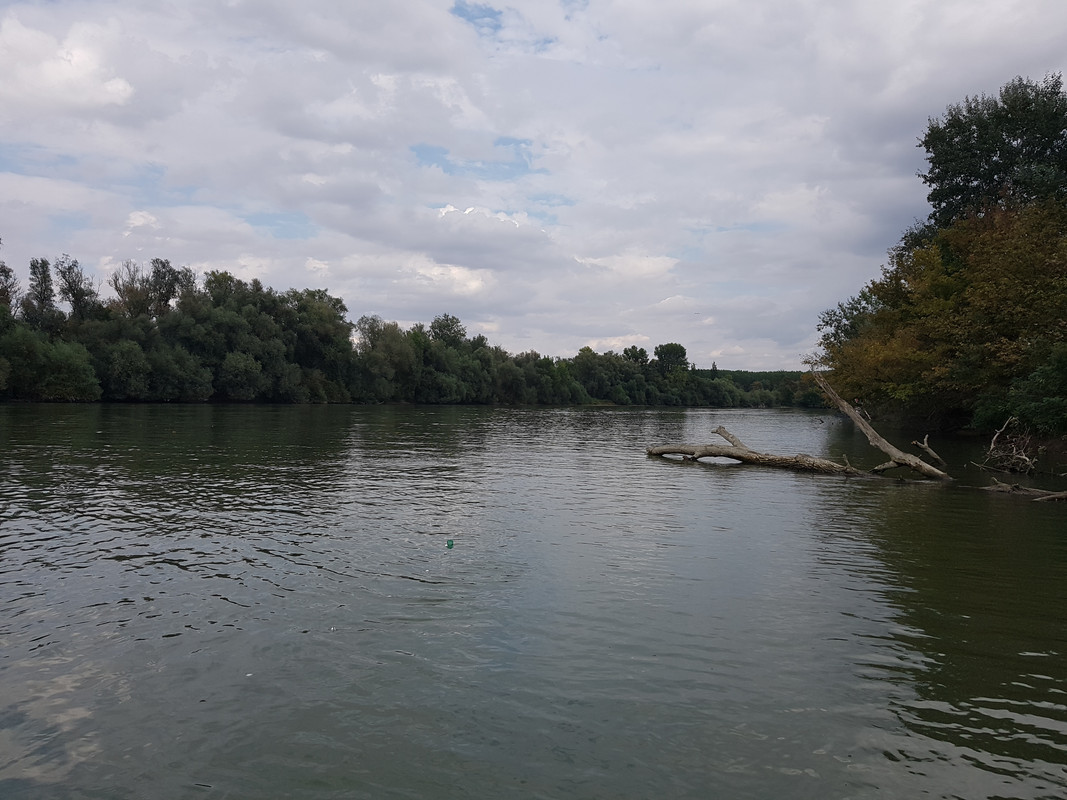 Slika