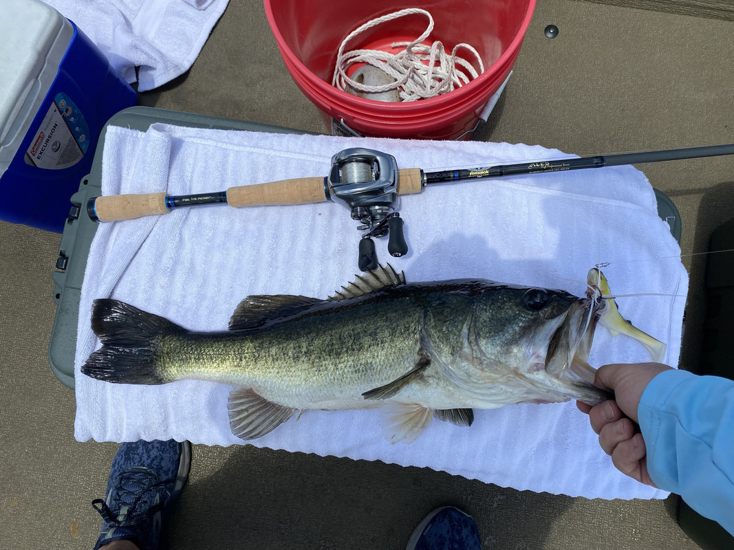 ACDF2B1A-C427-4607-B7D2-5F828BABA2E7