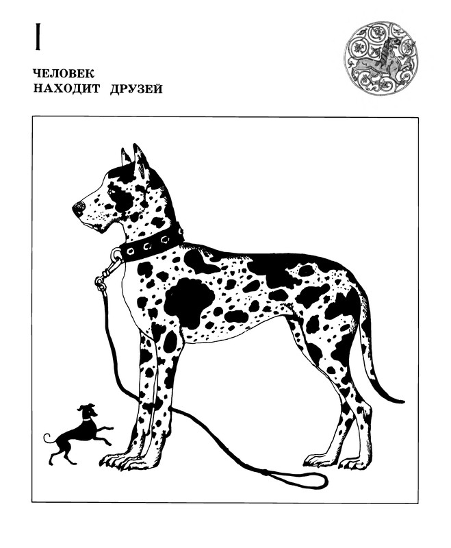 p0011