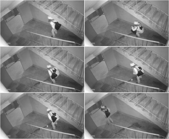 [Image: Stair-Pee-3.jpg]