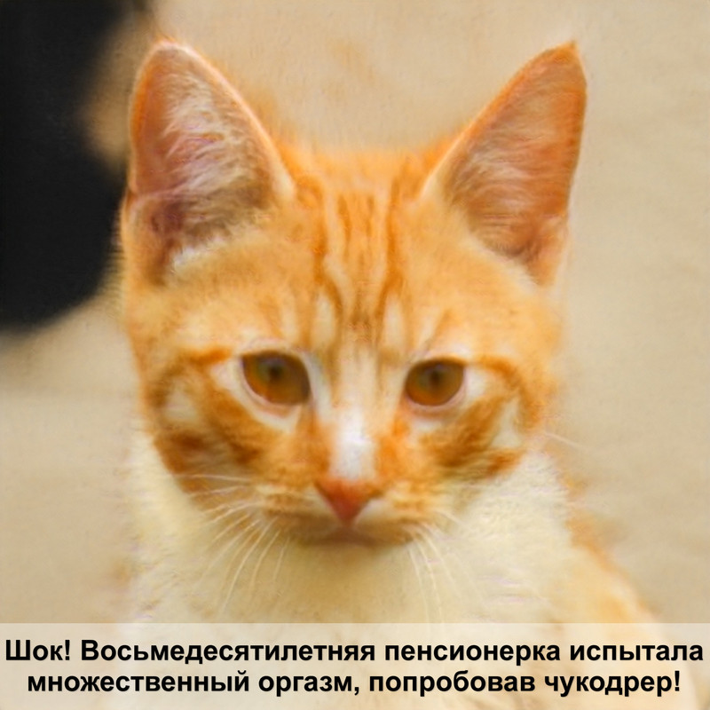 покраснение после укуса кошки