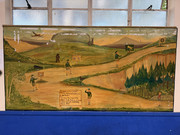 IMG-5631