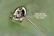 [Image: BIRD-ISLAND-2004.jpg]