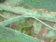 DSC03743