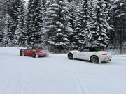 [Immagine: IMG_7428.jpg]