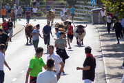 IMG-0486