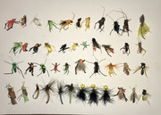 BFBA2C79-838B-431A-B49A-A2749CC47B16