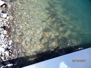 [Image: P5100009.jpg]