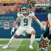 [Image: Bam-Joseph.jpg]