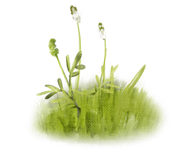 emeto-summer-playground-grass-overlay-1