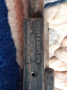 454543134_1174566216989963_2353259929659328400_n