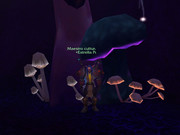 WoWScrnShot_122523_135802