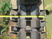IMG-9511