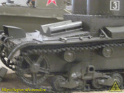 IMG-6648