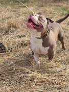 IMG_20230416_015616_169