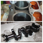 IMG-20251114-143721-COLLAGE.jpg