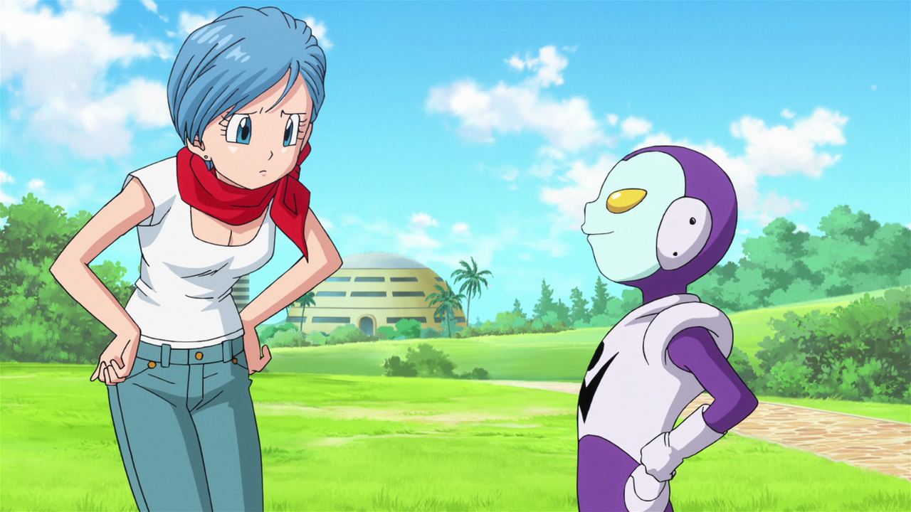 dbzrfs4