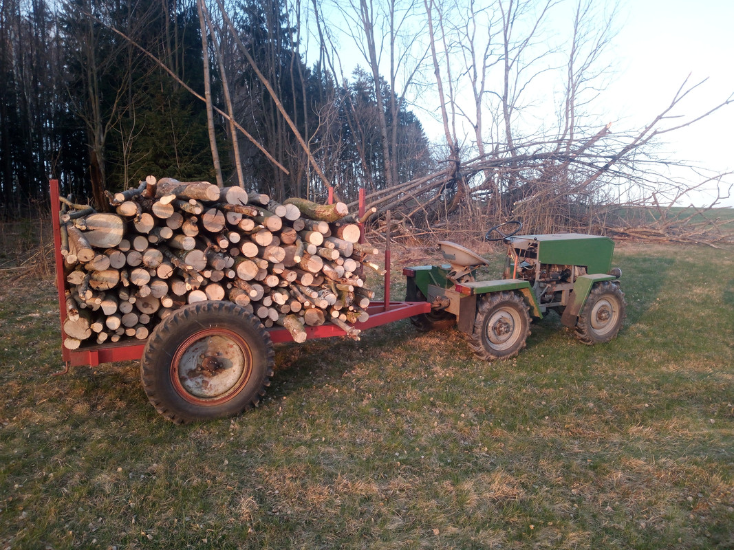 IMG_20250328_180106638