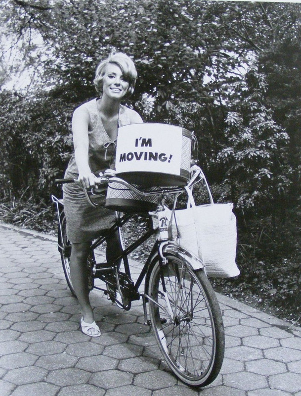 Inger Stevens_ma39