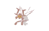 IMG-4898.gif