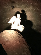 IMG-8120