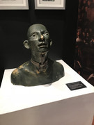 IMG-8831