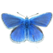 tumblr-edc8347e512784a3ce8dba54886da9bf-a503d385-250