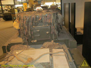 IMG-4561